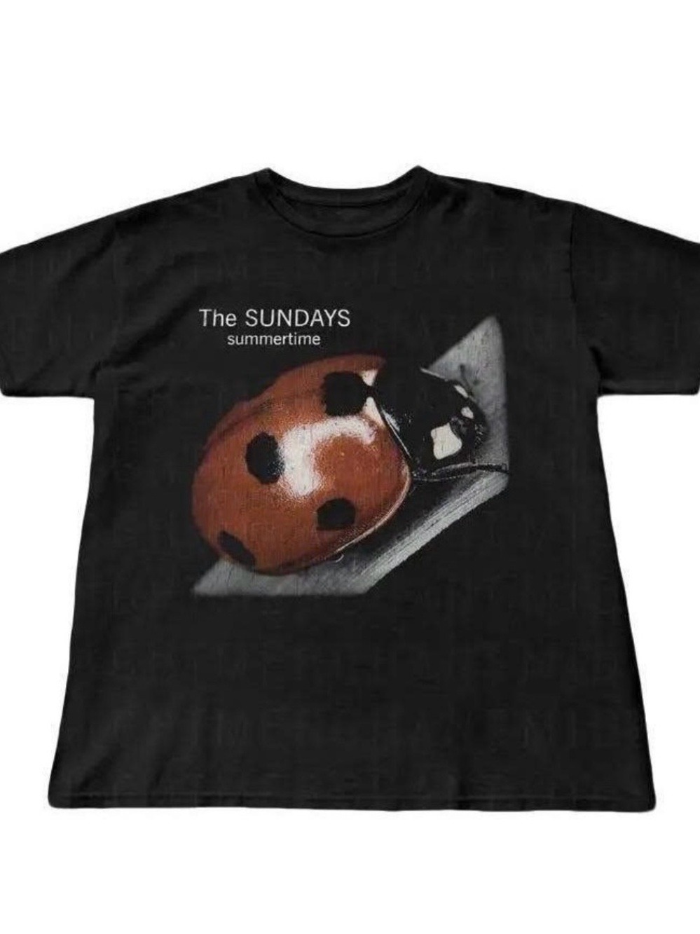 Black Tee with Red & Black Ladybug Graphic